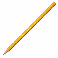Карандаши цветные BIC "Kids ECOlutions Evolution", 18 цветов, пластиковые, заточенные, европодвес, 937513 Карандаши цветные BIC "Kids ECOlutions Evolution", 18 цветов, пластиковые, заточенные, европодвес, 937513 - фото 9