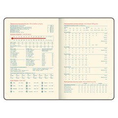 Ежедневник датированный 2026 B6 125х173 мм, GALANT "Vivid", под кожу, серый, 117410 - фото 8