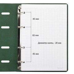 Тетрадь на кольцах А5, 180х220 мм, 120 л., под кожу, держатель для ручки, BRAUBERG, зеленый, 405238 - фото 5
