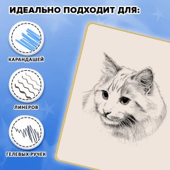 Скетчбук, слоновая кость 140 г/м2, 130х210 мм, 80 л., софт-тач, резинка, наклейки, FUNSTER (ФАНСТЕР), "Пёсик", 117784 - фото 7