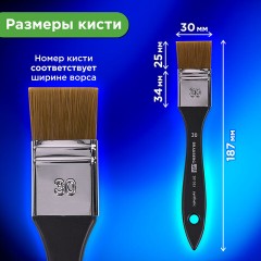 Кисть художественная профессиональная, синтетика, флейц, № 30, BRAUBERG ART CLASSIC, 201035 Кисть художественная профессиональная, синтетика, флейц, № 30, BRAUBERG ART CLASSIC, 201035 - фото 7