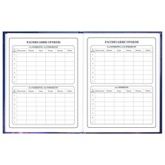 Дневник 1-4 класс 48 л., твердый, ЮНЛАНДИЯ, глянцевая ламинация, с подсказом, "Принцесса", 107582 - фото 8