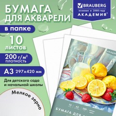 Папка для акварели БОЛЬШАЯ А3, 297х420 мм, 10 листов, 200 г/м, BRAUBERG АКАДЕМИЯ (ДЭК) "Натюрморт", 117741 - фото 8