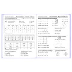 Дневник 5-11 класс 48 л., твердый, BRAUBERG, матовая ламинация, с подсказом, "Классика", 107610 - фото 11