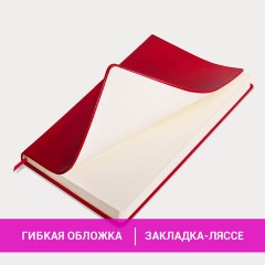 Блокнот БОЛЬШОЙ ФОРМАТ (200х252 мм) В5, BRAUBERG "Income", кожзам, 128 л., клетка, красный, 125205 Блокнот БОЛЬШОЙ ФОРМАТ (200х252 мм) В5, BRAUBERG "Income", кожзам, 128 л., клетка, красный, 125205 - фото 8