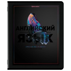 Тетради предметные, КОМПЛЕКТ 12 ПРЕДМЕТОВ, 48 л., матовая ламинация, лак, BRAUBERG "MAJESTIC BLACK", 405177 - фото 5