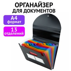 Папка-органайзер для бумаг и документов на резинке, 13 отделений, BRAUBERG DOCS, А4, черная, 271152 Папка-органайзер для бумаг и документов на резинке, 13 отделений, BRAUBERG DOCS, А4, черная, 271152 - фото 8