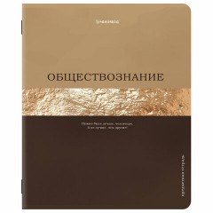 Тетради предметные, КОМПЛЕКТ 12 ПРЕДМЕТОВ, 48 л., матовая ламинация, фольга, BRAUBERG "GOLDY", 405178 Тетради предметные, КОМПЛЕКТ 12 ПРЕДМЕТОВ, 48 л., матовая ламинация, фольга, BRAUBERG "GOLDY", 405178 - фото 9
