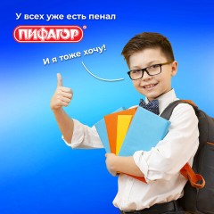 Пенал ПИФАГОР, 3 отделения, ламинированный картон, 19х11 см, "Goal", 271547 Пенал ПИФАГОР, 3 отделения, ламинированный картон, 19х11 см, "Goal", 271547 - фото 12