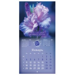 Календарь настенный перекидной 2027 г., BRAUBERG, 12 листов, 28,5х57 см, "Floral", 118425 - фото 6