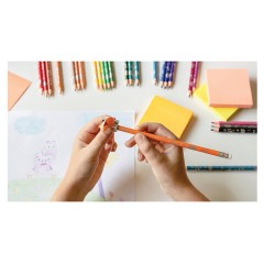 Карандаши цветные стираемые с ластиком BIC "Kids Evolution Illusion", 12 цветов, круглые, 987868  - фото 6