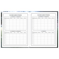 Дневник 1-4 класс 48 л., твердый, ЮНЛАНДИЯ, глянцевая ламинация, с подсказом, "Футбол", 107583 - фото 8