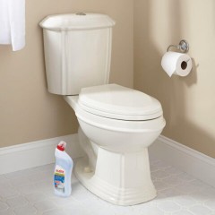 Средство для уборки туалета кислотное 750 г, LAIMA PROFESSIONAL "Морской бриз-WC Гель", утенок, 604794 - фото 6