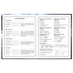 Дневник 1-4 класс 48 л., твердый, ЮНЛАНДИЯ, глянцевая ламинация, с подсказом, "Футбол", 107583 - фото 14