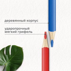 Карандаши цветные супермягкие яркие BRAUBERG MAX, 50 цветов, трехгранные, грифель 3,3 мм, натуральное дерево, 181860 Карандаши цветные супермягкие яркие BRAUBERG MAX, 50 цветов, трехгранные, грифель 3,3 мм, натуральное дерево, 181860 - фото 11