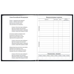 Дневник 1-11 класс 40 л., твердый, BRAUBERG, глянцевая ламинация, "Герб", 107598 - фото 6