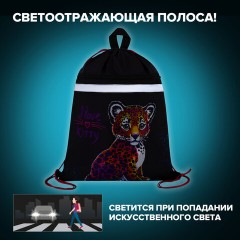 Мешок для обуви BRAUBERG, с петлей, светоотражающая полоса, 2 отделения, 46х36 см, Leopard, 272395 Мешок для обуви BRAUBERG, с петлей, светоотражающая полоса, 2 отделения, 46х36 см, Leopard, 272395 - фото 10