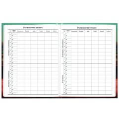 Дневник 1-11 класс 40 л., твердый, BRAUBERG, глянцевая ламинация, "Пушистый хулиган", 107599 - фото 7