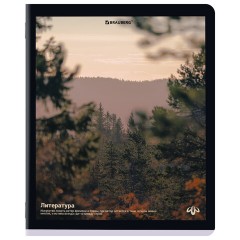 Тетради предметные, КОМПЛЕКТ 12 ПРЕДМЕТОВ, 48 л., матовая ламинация, BRAUBERG, "ПРИРОДА", 405606 - фото 9