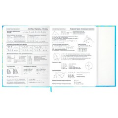 Дневник 1-11 класс 48 л., твердый, BRAUBERG, матовая ламинация, магнитный клапан, закладка-ляссе, с подсказом, "Котик", 107244 - фото 16