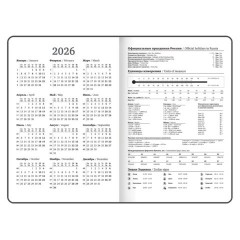Ежедневник датированный 2026 с резинкой 145х203 мм, А5, BRAUBERG твердый, фольга, "Лаванда", 117344 - фото 6