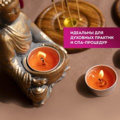 Свечи чайные Long Life, до 5 часов горения, вес 12 г, КОМПЛЕКТ 10 шт., в гильзе, LAIMA, 609199 Свечи чайные Long Life, до 5 часов горения, вес 12 г, КОМПЛЕКТ 10 шт., в гильзе, LAIMA, 609199 - фото 12