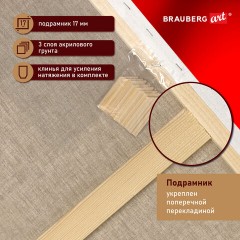 Холст на подрамнике BRAUBERG ART PREMIERE, 60х80см, грунтованный, 100% лен, среднее зерно, 190642 Холст на подрамнике BRAUBERG ART PREMIERE, 60х80см, грунтованный, 100% лен, среднее зерно, 190642 - фото 8