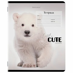 Тетрадь 12 л. BRAUBERG, клетка, обложка картон, CUTE ANIMALS, 107266 Тетрадь 12 л. BRAUBERG, клетка, обложка картон, CUTE ANIMALS, 107266 - фото 8