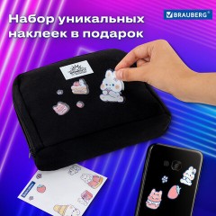 Пенал-органайзер BRAUBERG, 1 отделение, С НАКЛЕЙКАМИ, молния вокруг, канвас, 22x15х6 см, черный, 273596 - фото 13