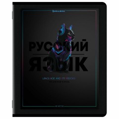 Тетради предметные, КОМПЛЕКТ 12 ПРЕДМЕТОВ, 48 л., матовая ламинация, лак, BRAUBERG "MAJESTIC BLACK", 405177 - фото 13