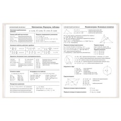 Дневник 5-11 класс 48 л., твердый, BRAUBERG, выборочный лак, с подсказом, "Кот-Непоседа", 107616 - фото 10