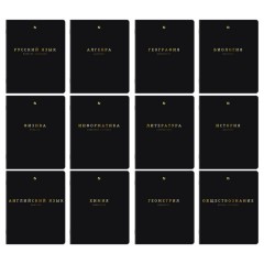 Тетради предметные, КОМПЛЕКТ 12 ПРЕДМЕТОВ, 48 л., Soft-Touch, 3D-фольга, BRAUBERG, "BLACK GOLD", 405602
