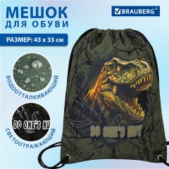 Мешок для обуви BRAUBERG PREMIUM, карман, подкладка, светоотражайка, 43х33 см, Dino attack, 272424 Мешок для обуви BRAUBERG PREMIUM, карман, подкладка, светоотражайка, 43х33 см, Dino attack, 272424 - фото 9