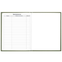 Дневник 1-11 класс 40 л., твердый, BRAUBERG, глянцевая ламинация, "Однотонный", 107607 - фото 10