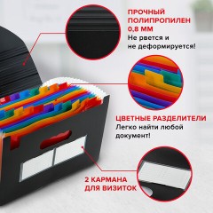 Папка-органайзер для бумаг и документов на резинке, 25 отделений, BRAUBERG DOCS, А4, черная, 271151 Папка-органайзер для бумаг и документов на резинке, 25 отделений, BRAUBERG DOCS, А4, черная, 271151 - фото 12