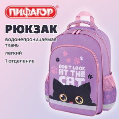 Рюкзак ПИФАГОР SCHOOL, 1 отделение, 3 кармана, "Наблюдательный кот", 38x28х14 см, 274437 - фото 8