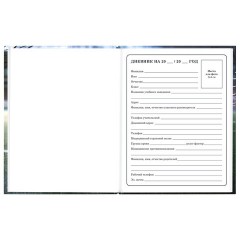 Дневник 1-4 класс 48 л., твердый, ЮНЛАНДИЯ, глянцевая ламинация, с подсказом, "Футбол", 107583 - фото 5