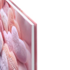 Дневник 5-11 класс 48 л., твердый, BRAUBERG, матовая ламинация, с подсказом, "Пушистые Сердечки", 107611 - фото 4