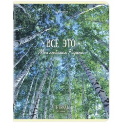 Тетрадь А5, 48 л., BRAUBERG, скоба, клетка, глянцевый лак, "Русская природа" (микс в спайке), 405651 - фото 5