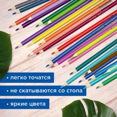 Карандаши цветные супермягкие яркие BRAUBERG MAX, 50 цветов, трехгранные, грифель 3,3 мм, натуральное дерево, 181860 Карандаши цветные супермягкие яркие BRAUBERG MAX, 50 цветов, трехгранные, грифель 3,3 мм, натуральное дерево, 181860 - фото 10