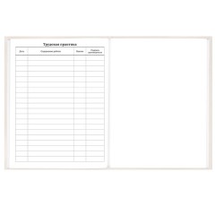 Дневник 5-11 класс 48 л., твердый, BRAUBERG, выборочный лак, с подсказом, "Кот-Непоседа", 107616 - фото 16