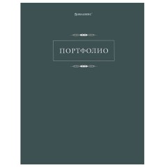 Папка-портфолио универсальная, 4 кольца, 20 файлов, 7БЦ матовая, BRAUBERG "Classic", 117554 - фото 4