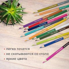 Карандаши цветные двусторонние BRAUBERG PREMIUM TWIN COLOUR, 12 штук, 24 цвета, шестигранные, грифель 3,3 мм, натуральное дерево, 181874 Карандаши цветные двусторонние BRAUBERG PREMIUM TWIN COLOUR, 12 штук, 24 цвета, шестигранные, грифель 3,3 мм, натуральное дерево, 181874 - фото 9