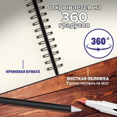 Скетчбук, слоновая кость 100 г/м2, 148х210 мм, 80 л., гребень, твердая обложка, BRAUBERG ART PREMIERE, 115109 Скетчбук, слоновая кость 100 г/м2, 148х210 мм, 80 л., гребень, твердая обложка, BRAUBERG ART PREMIERE, 115109 - фото 14
