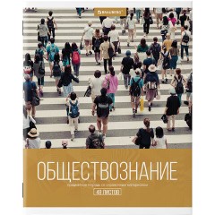 Тетради предметные, КОМПЛЕКТ 10 ПРЕДМЕТОВ, 48 л., обложка картон, BRAUBERG, "КЛАССИКА XXI", 404025 Тетради предметные, КОМПЛЕКТ 10 ПРЕДМЕТОВ, 48 л., обложка картон, BRAUBERG, "КЛАССИКА XXI", 404025 - фото 6