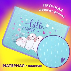Папка для труда на молнии ЮНЛАНДИЯ А4, 1 отделение, откидная планка, органайзер, "Little bunny", 270984 Папка для труда на молнии ЮНЛАНДИЯ А4, 1 отделение, откидная планка, органайзер, "Little bunny", 270984 - фото 10