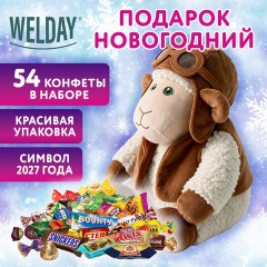 Подарок новогодний "ЛЁТЧИК", "Мягкая игрушка-символ 2027 года", НАБОР конфет 800 г, WELDAY (ВЭЛДЭЙ), 881404 - фото 3