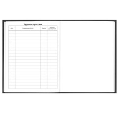 Дневник 5-11 класс 48 л., твердый, FUNSTER (ФАНСТЕР), выборочный лак, с подсказом, "Гусыня-балерина", 107615 - фото 16