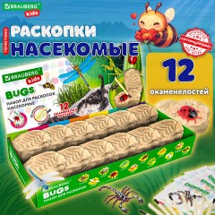 Набор для раскопок "Насекомые", 12 видов, карточки, инструменты, BRAUBERG KIDS, 665127 Набор для раскопок "Насекомые", 12 видов, карточки, инструменты, BRAUBERG KIDS, 665127 - фото 12