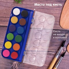 Краски акварельные BRAUBERG "PREMIUM" 12 цветов, круглые кюветы 28 мм, пенал, 191743 Краски акварельные BRAUBERG "PREMIUM" 12 цветов, круглые кюветы 28 мм, пенал, 191743 - фото 8